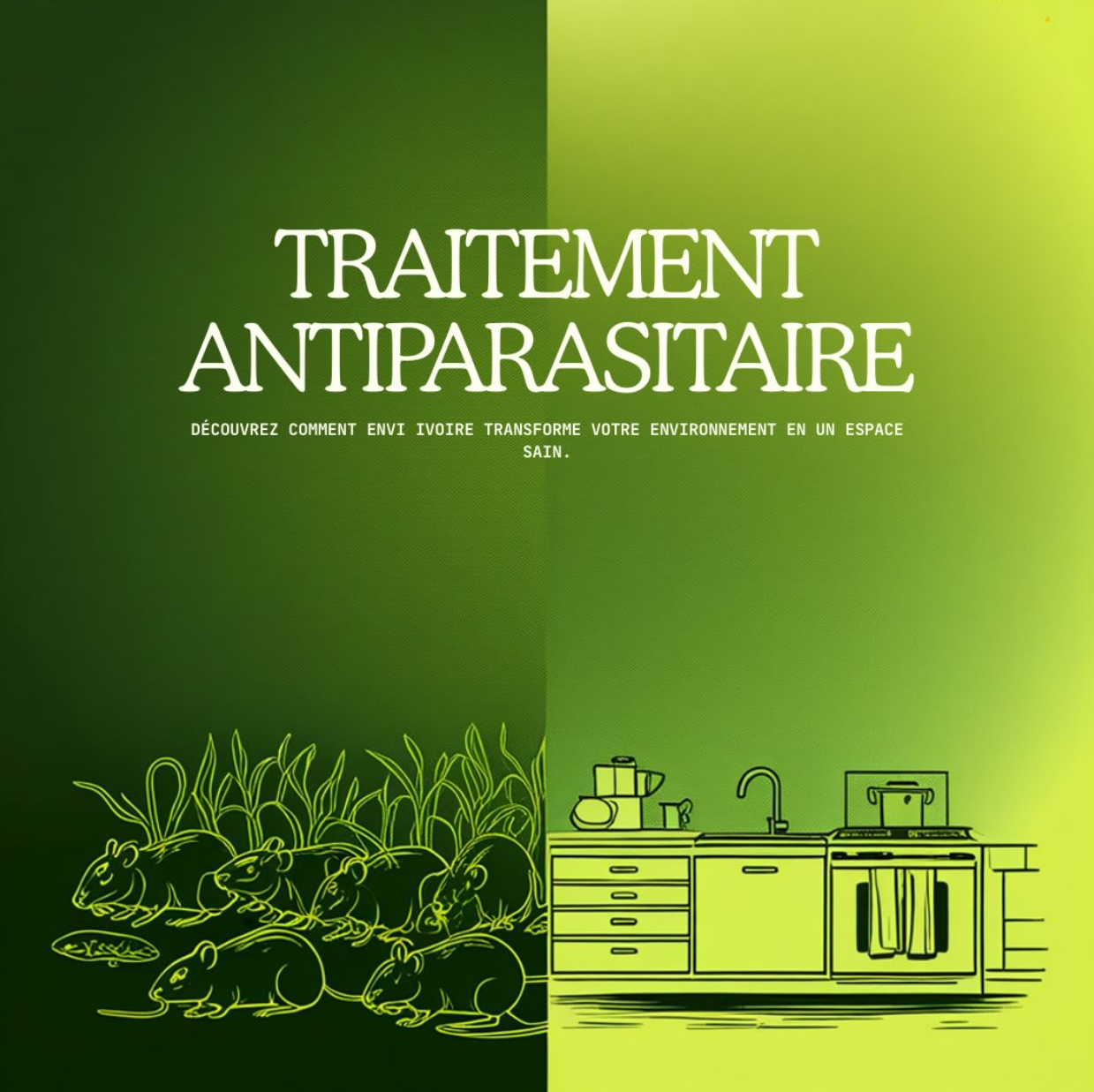 Traitement antiparasitaire ENVI IVOIRE à Abidjan